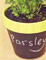 Paint your pot with blackboard paint for chalk labels