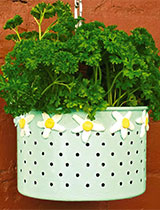 How to make a hanging herb basket