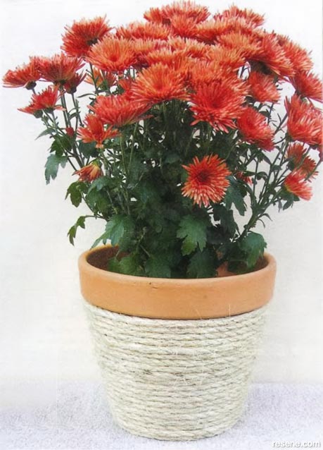 Create this look by winding thick garden twine round a terracotta pot, using a generous layer of exterior PVA glue to fix it