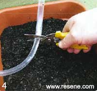 Step 4 how to water pots