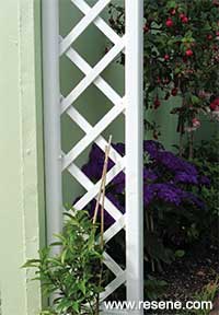 How to refurbish your tired trellis