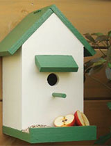How to build a bird house
