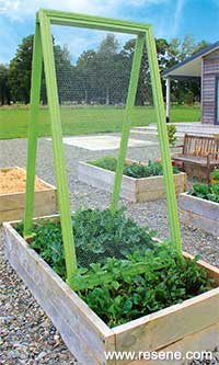 How to make a climbing garden frame