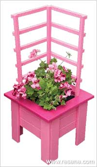 Make a pink box planter