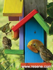 Build and paint a bird feeder for your garden