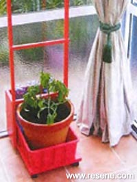 Make a tomato planter