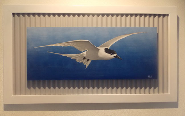 White fronted Tern panted by artist Gaye Hall using Resene paint