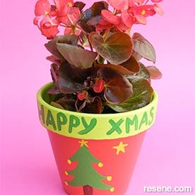 Christmas plant pots