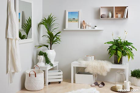 A crisp white home interior decorated with house plants
