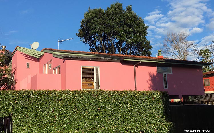 Pink and Red Houses Auckland-outside