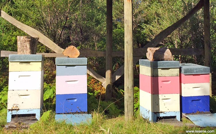 Colourful beehives