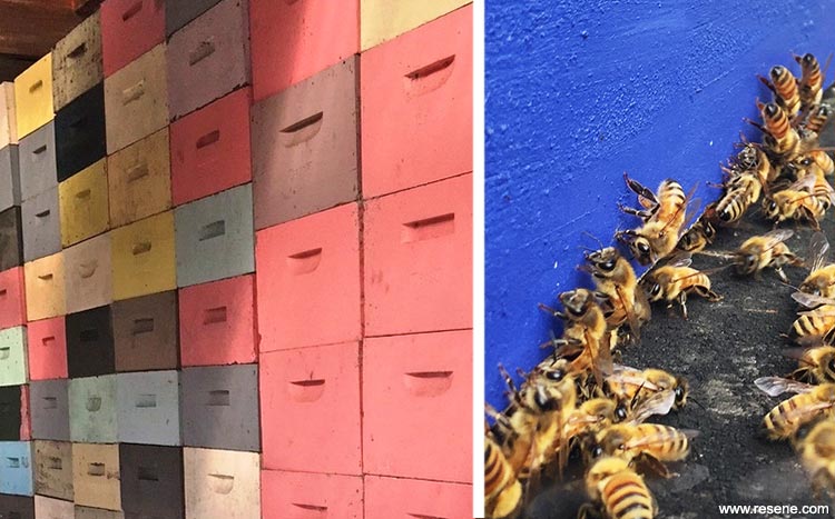 Beehive colour options