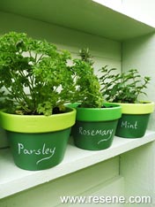 paint plant pots