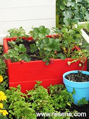 Make a  planter box and paint brightly red