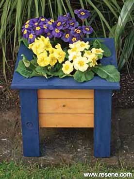 How to build a colourful two tone planter