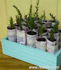 How to make a growing box and newspaper pots