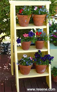 How to make a ladder shalves for displaying plant pots