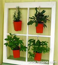 How to make a hanging plant display