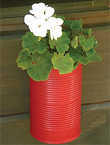 Create tin can plant pots to hang on your fence