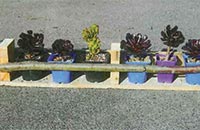 Plant pot shelf