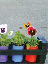 Make a Pallet plant pot shelf