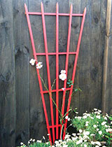 Make and paint a climbing frame for plants