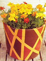 Paint a flower pot