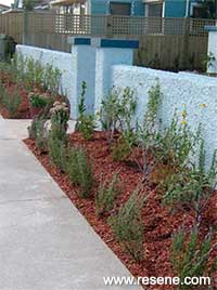 Plant  a garden border to create street appeal