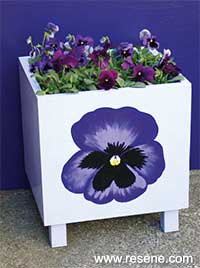 How to make a planter for pansies