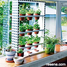 Windowsill herb planter