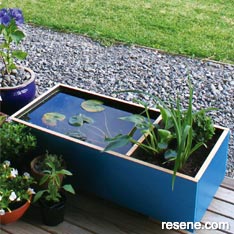 Construct a compact and colourful pond and planter for your deck