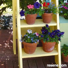 Create this simple display ladder for your favourite potted plants