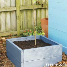 Build a raised tree bed