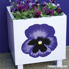 Make a planter for pansies 