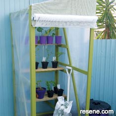 Mini greenhouse project
