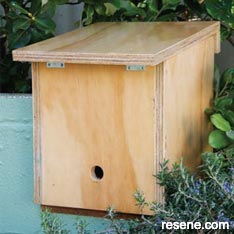 Build a bumblebee box