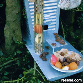 Make a bird house and feeder 