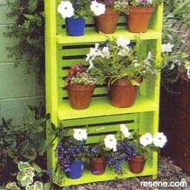 Plant display shelf