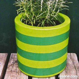 Striped herb planter