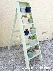 Ladder stylish plant stand