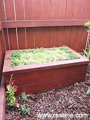 Project to try - Build a fragrant bench