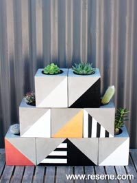 Make cool cube planters for your cacti