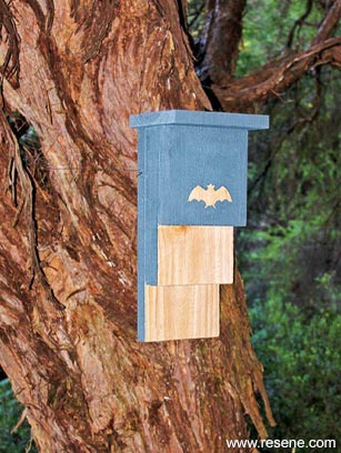 Make a bat roosting box