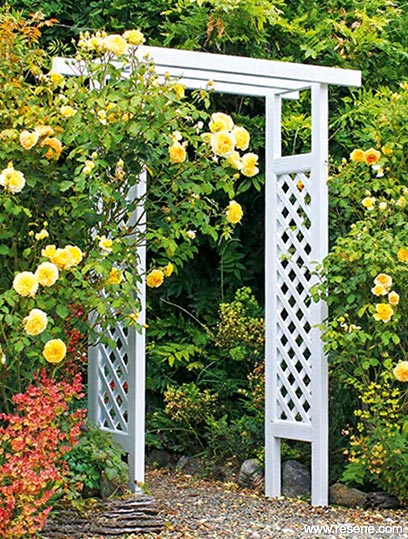 Garden trellis - build an trellis entryway | a NZ Gardener project