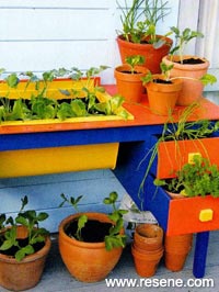 Make a recycled vegetable and herb planter or display table