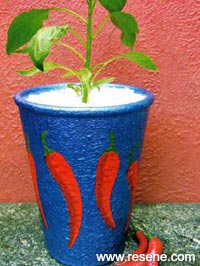 How to paint a funky chilli planter