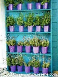 Create a plant bookcase