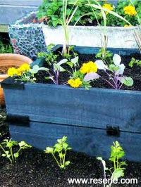 How to make a very simple raised veggie bed