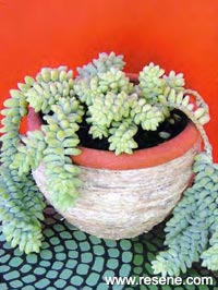 Rope decorated pot