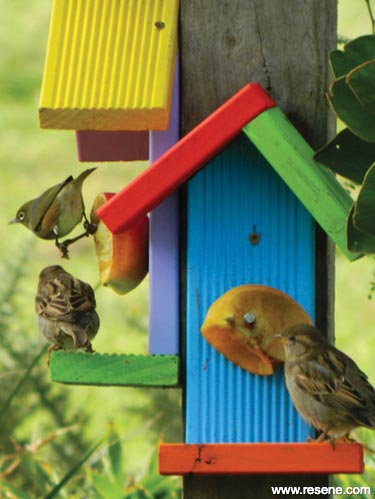 Build a bird feeder